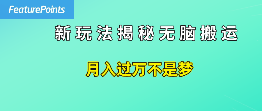 简单操作，每天50美元收入，搬运就是赚钱的秘诀！-翌晨科技网