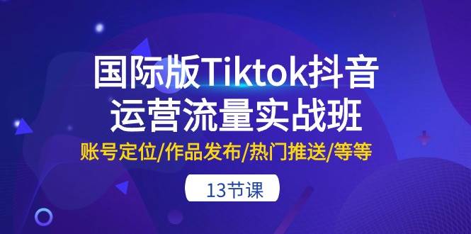 国际版Tiktok抖音运营流量实战班：账号定位/作品发布/热门推送/等等-13节-翌晨科技网