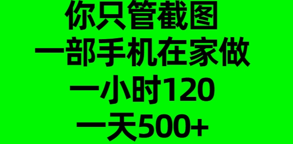 你只管截图,一部手机在家做,一小时120,一天500+-翌晨科技网