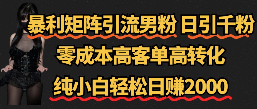 暴利矩阵引流男粉(日引千粉),零成本高客单高转化,纯小白轻松日赚2000+-翌晨科技网