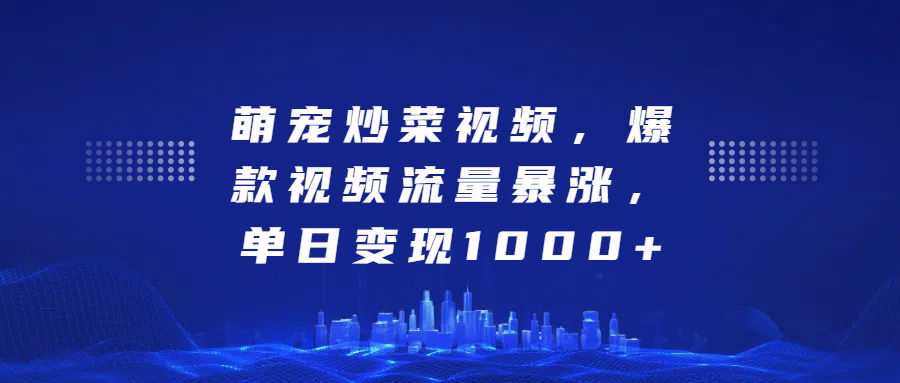 萌宠炒菜视频，爆款视频流量暴涨，单日变现1000+-翌晨科技网