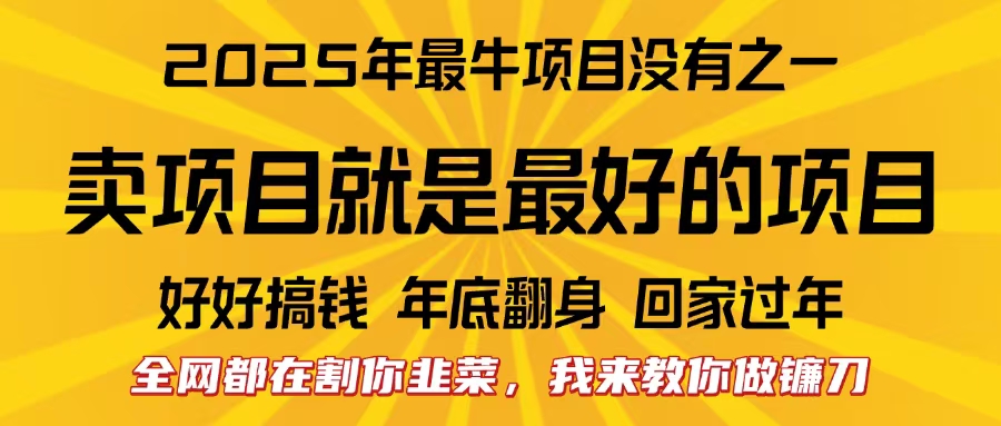 全网都在割你韭菜，我来教你做镰刀。卖项目就是最好的项目，2025年最牛互联网项目-翌晨科技网
