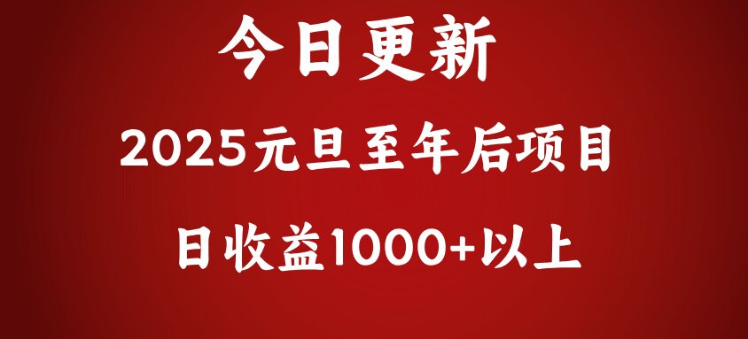 翻身项目，日收益1000+以上-翌晨科技网