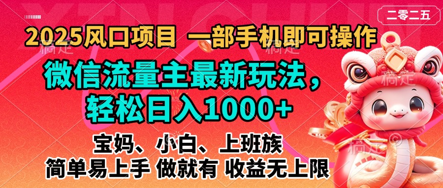2025蓝海风口项目,微信流量主最新玩法,轻松日入1000+,简单易上手,做就有 收益无上限-翌晨科技网