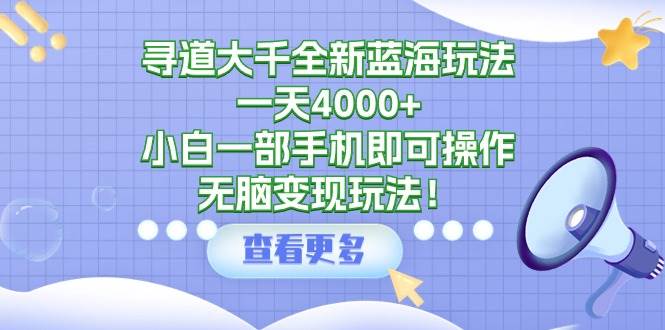 寻道大千全新蓝海玩法,一天4000+,小白一部手机即可操作,无脑变现玩法!-翌晨科技网