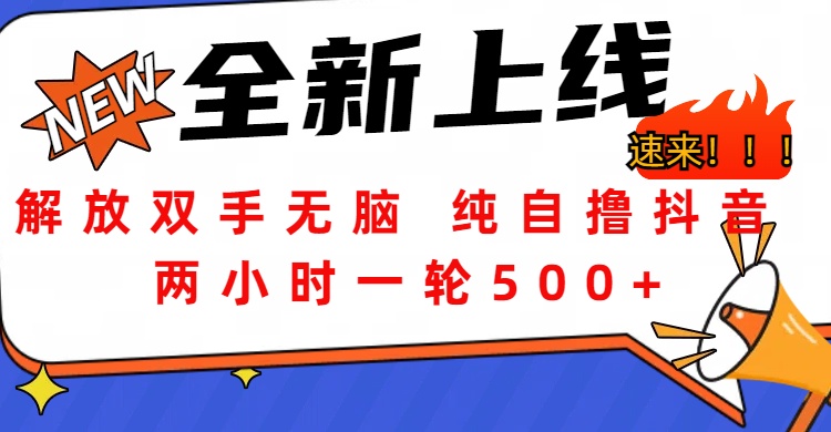 解放双手无脑 纯自撸抖音 两小时一轮500+-翌晨科技网