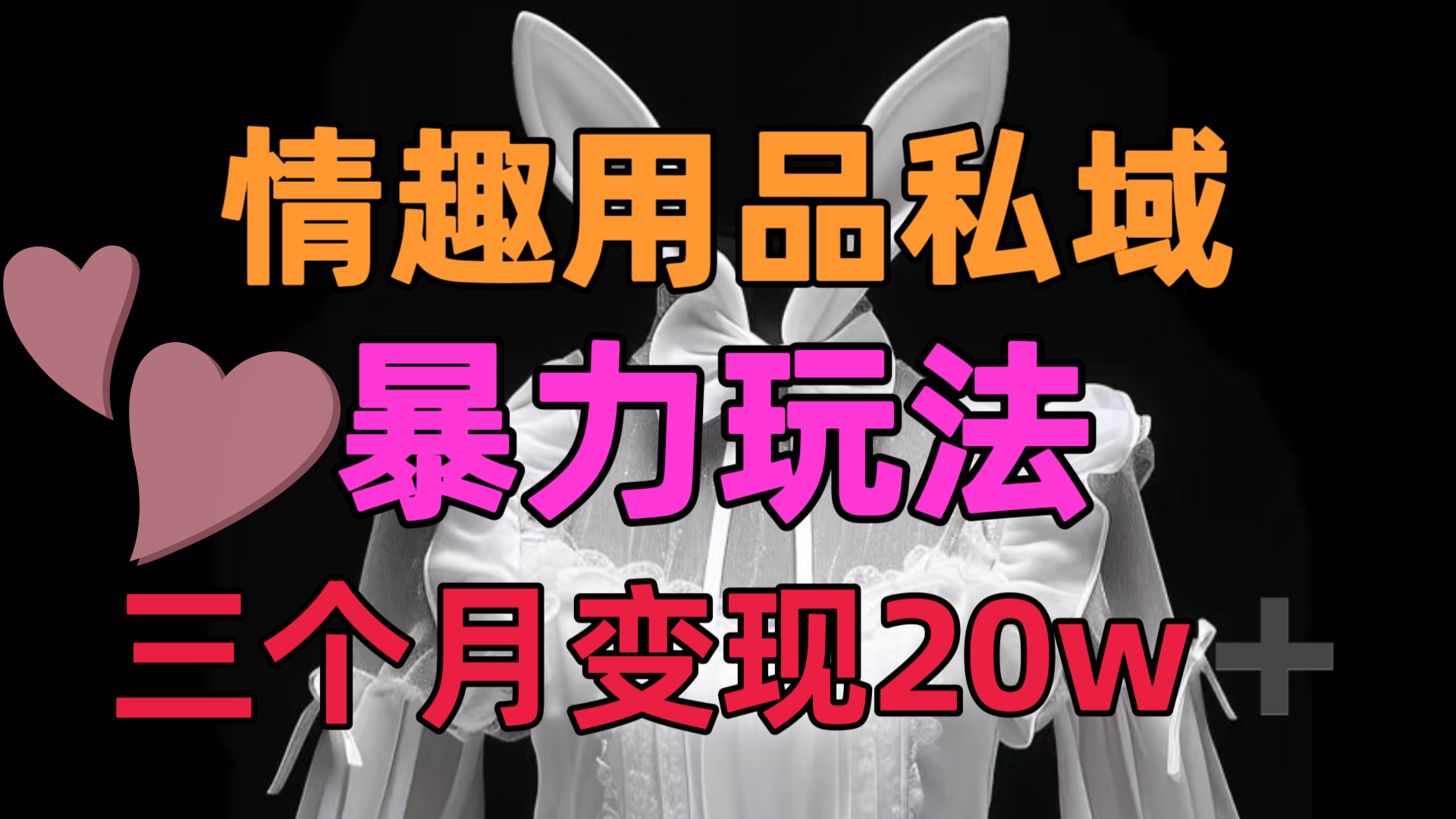 情趣用品私域,25年最新暴力玩法,三个月变现20w➕-翌晨科技网