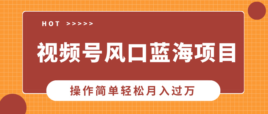 视频号风口蓝海项目，中老年人的流量密码，操作简单轻松月入过万-翌晨科技网