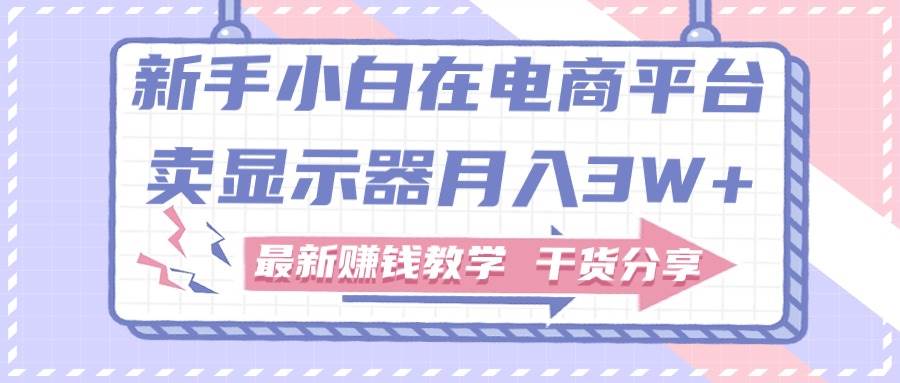 新手小白如何做到在电商平台卖显示器月入3W+，最新赚钱教学干货分享-翌晨科技网