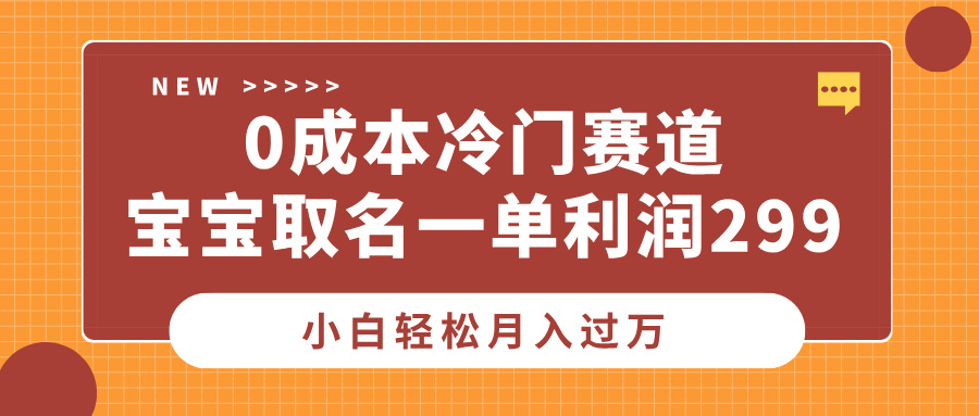 0成本冷门赛道，宝宝取名一单利润299，小白轻松月入过万-翌晨科技网