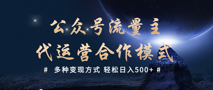 公众号流量主代运营  多种变现方式 轻松日入500+-翌晨科技网