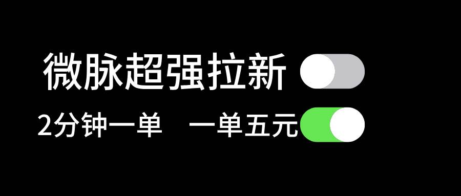 微脉超强拉新， 两分钟1单， 一单利润5块，适合小白-翌晨科技网