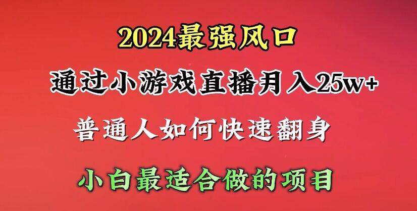 2024年最强风口,通过小游戏直播月入25w+单日收益5000+小白最适合做的项目-翌晨科技网