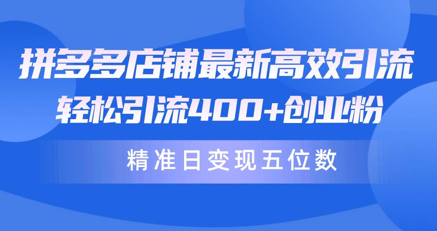 拼多多店铺最新高效引流术，轻松引流400+创业粉，精准日变现五位数！-翌晨科技网