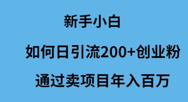新手小白如何日引流200+创业粉通过卖项目年入百万-翌晨科技网