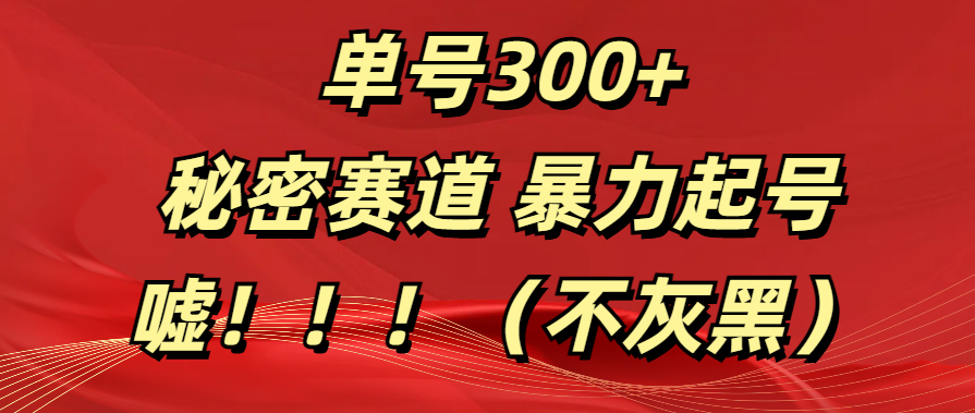 单号300+  秘密赛道 暴力起号  （不灰黑）-翌晨科技网