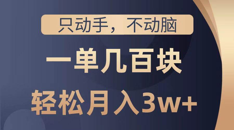 只动手不动脑，一单几百块，轻松月入2w+，看完就能直接操作，详细教程-翌晨科技网