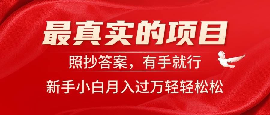 最真实的项目，照抄答案，有手就行，新手小白月入过万轻轻松松-翌晨科技网