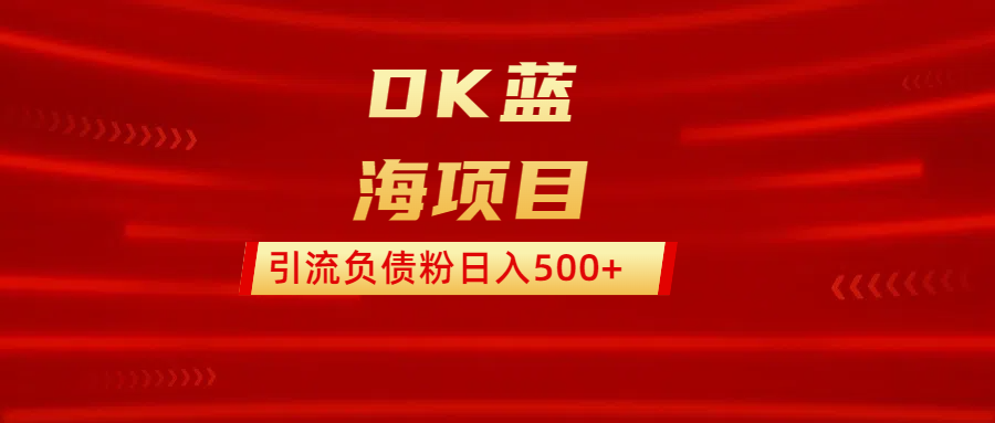 DK蓝海项目  通过，抖音，快手，小红书，引流负债粉日入500+-翌晨科技网
