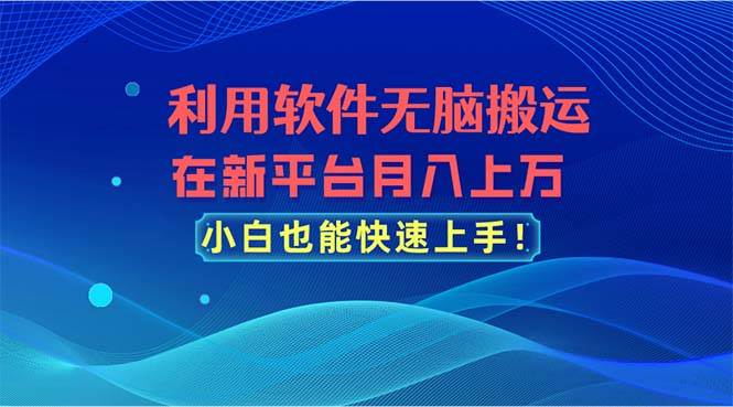 利用软件无脑搬运，在新平台月入上万，小白也能快速上手-翌晨科技网