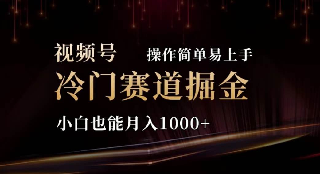 2024视频号冷门赛道掘金，操作简单轻松上手，小白也能月入1000+-翌晨科技网