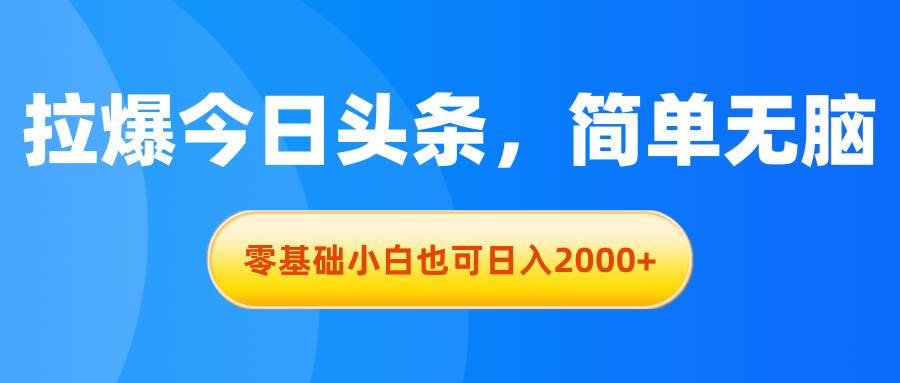 拉爆今日头条,简单无脑,零基础小白也可日入2000+-翌晨科技网