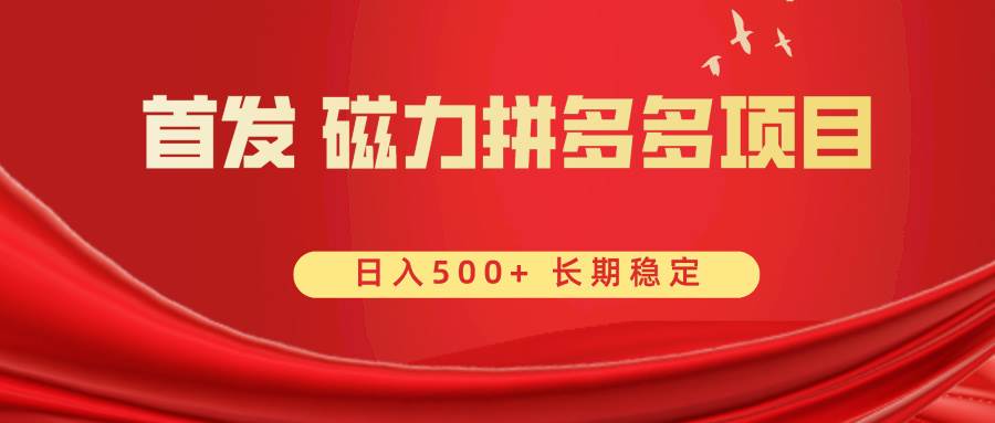 首发 磁力拼多多自撸  日入500+-翌晨科技网