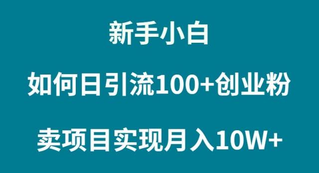新手小白如何通过卖项目实现月入10W+-翌晨科技网