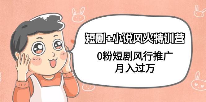 短剧+小说风火特训营，0粉短剧风行推广，月入过万（102节课）-翌晨科技网