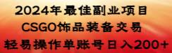2024年最佳副业项目 CSGO饰品装备交易 轻易操作单账号日入200+-翌晨科技网