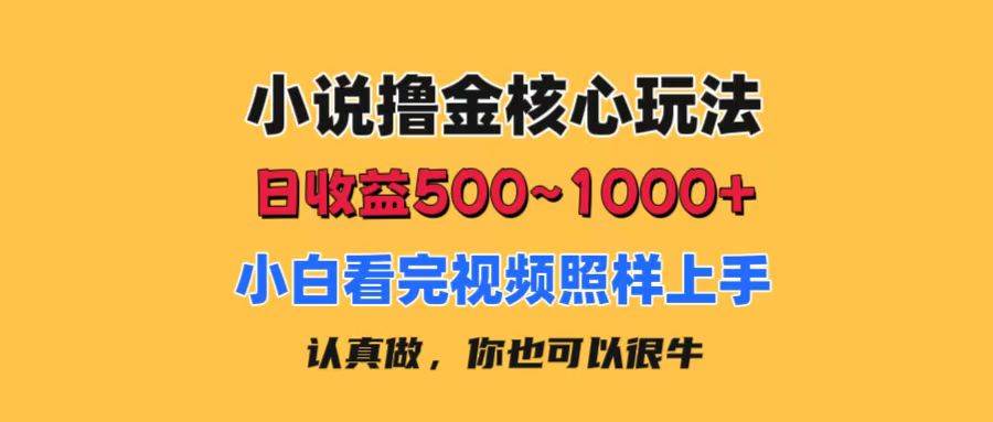 小说撸金核心玩法，日收益500-1000+，小白看完照样上手，0成本有手就行-翌晨科技网