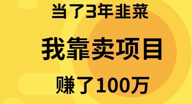 当了3年韭菜,我靠卖项目赚了100万-翌晨科技网