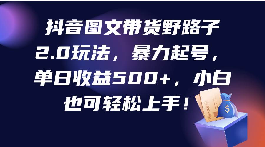 抖音图文带货野路子2.0玩法,暴力起号,单日收益500+,小白也可轻松上手!-翌晨科技网