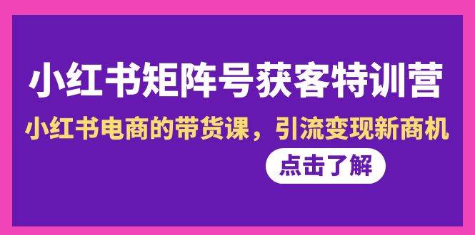 小红书-矩阵号获客特训营-第10期，小红书电商的带货课，引流变现新商机-翌晨科技网