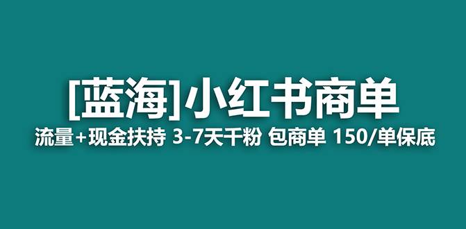 【蓝海项目】小红书商单！长期稳定 7天变现 商单一口价包分配 轻松月入过万-翌晨科技网