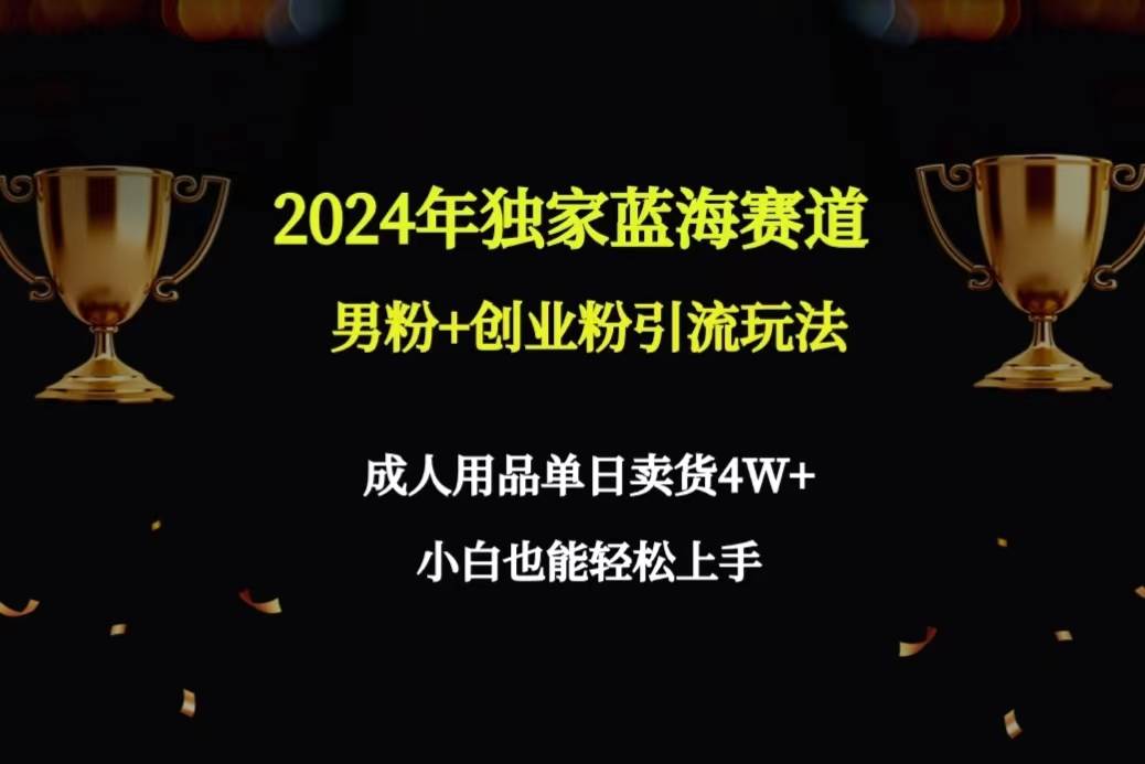 2024年独家蓝海赛道男粉+创业粉引流玩法，成人用品单日卖货4W+保姆教程-翌晨科技网