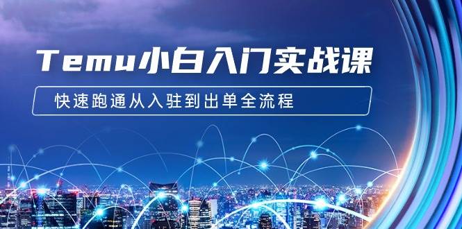 Temu小白入门实战课：跨境拼多多电商培训 快速跑通从入驻到出单全流程-12节-翌晨科技网