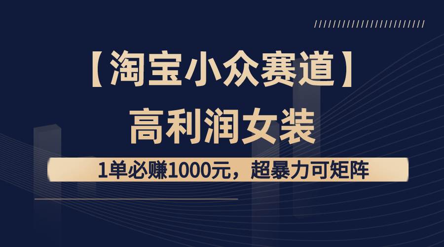 【淘宝小众赛道】高利润女装：1单必赚1000元，超暴力可矩阵-翌晨科技网