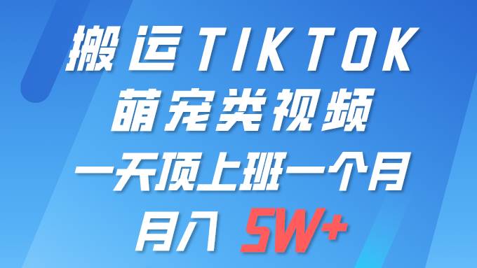一键搬运TIKTOK萌宠类视频 一部手机即可操作 所有平台均可发布 轻松月入5W+-翌晨科技网