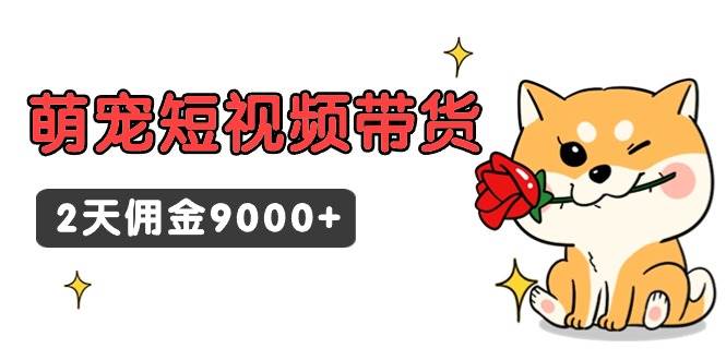 东哲日记·萌宠短视频带货，2天佣金9000+-翌晨科技网