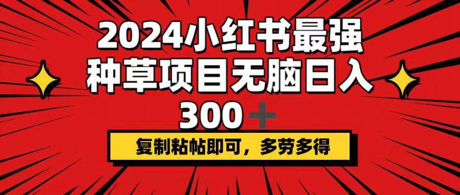 2024小红书最强种草项目，无脑日入300+，复制粘帖即可，多劳多得-翌晨科技网