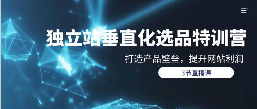独立站-垂直化选品训练营，打造产品壁垒，提升网站利润（3节直播课）-翌晨科技网