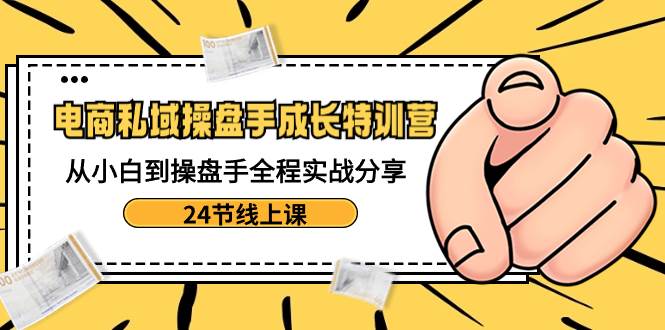 电商私域-操盘手成长特训营：从小白到操盘手全程实战分享-24节线上课-翌晨科技网