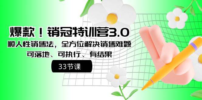 爆款！销冠特训营3.0之顺人性销售法，全方位解决销售难题、可落地、可执行、有结果-翌晨科技网
