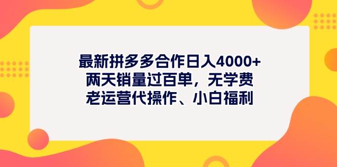 最新拼多多项目日入4000+两天销量过百单，无学费、老运营代操作、小白福利-翌晨科技网