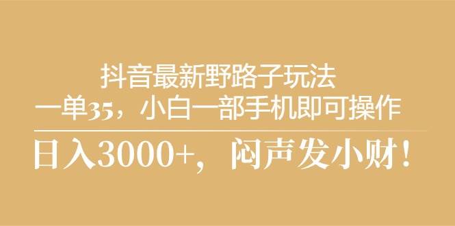 抖音最新野路子玩法，一单35，小白一部手机即可操作，，日入3000+，闷...-翌晨科技网