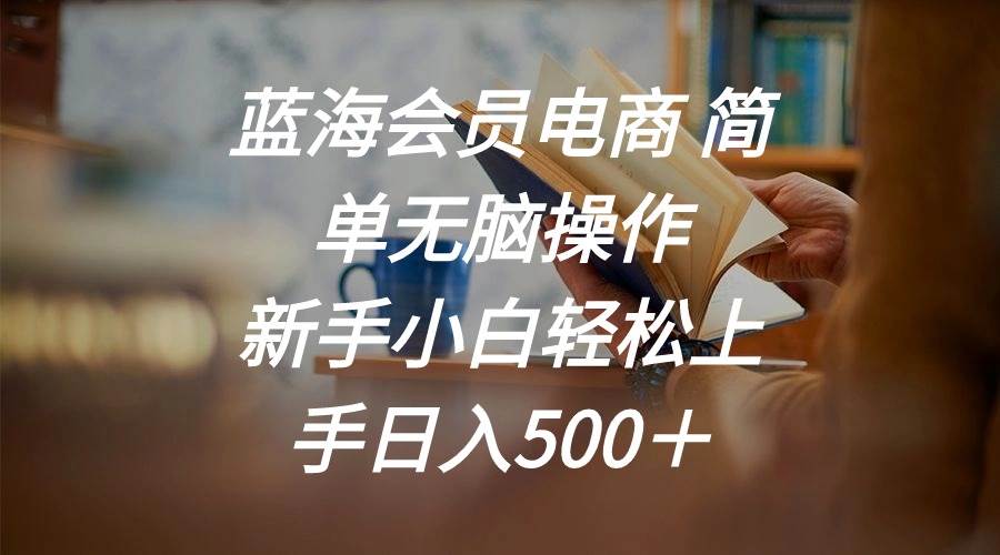 蓝海会员电商 简单无脑操作 新手小白轻松上手日入500＋-翌晨科技网