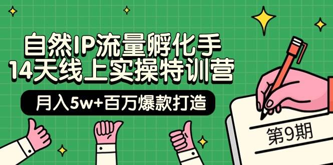 自然IP流量孵化手 14天线上实操特训营【第9期】月入5w+百万爆款打造 (74节)-翌晨科技网