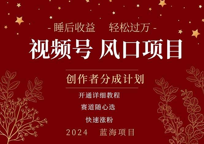 拥有睡眠收益的微信视频号大风口项目，轻松月入过万+，多赛道选择，可...-翌晨科技网