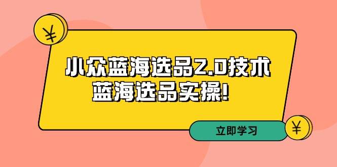 拼多多培训第33期：小众蓝海选品2.0技术-蓝海选品实操！-翌晨科技网